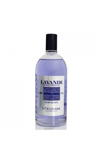 L’Occitane Lavender Eau de Cologne 300ml Splash | Perfumes of London